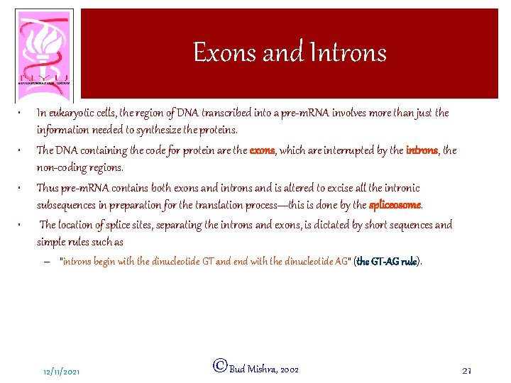 Exons and Introns • • In eukaryotic cells, the region of DNA transcribed into