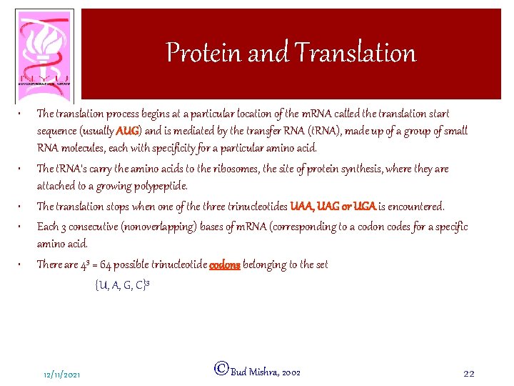 Protein and Translation • • • The translation process begins at a particular location