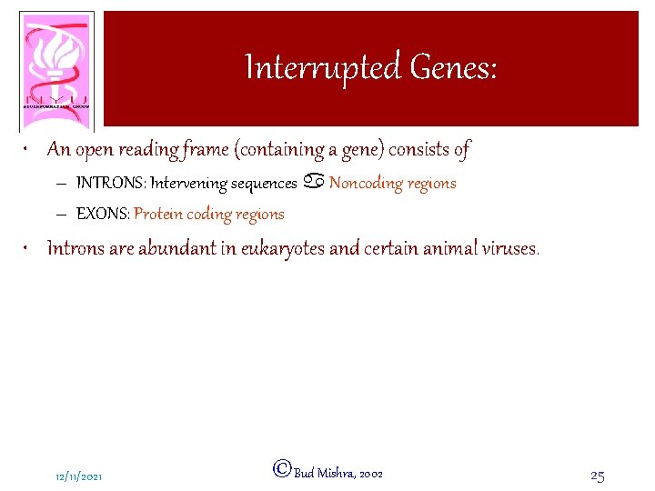 Interrupted Genes: • An open reading frame (containing a gene) consists of – INTRONS:
