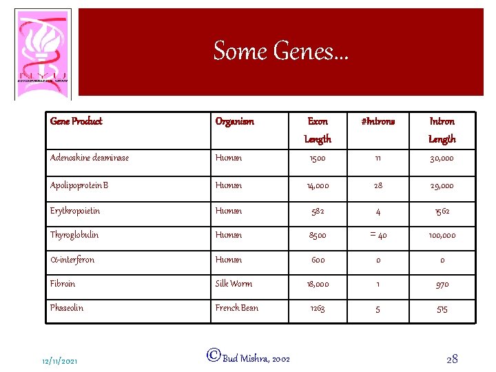 Some Genes… Gene Product Organism Exon Length #Introns Intron Length Adenoshine deaminase Human 1500