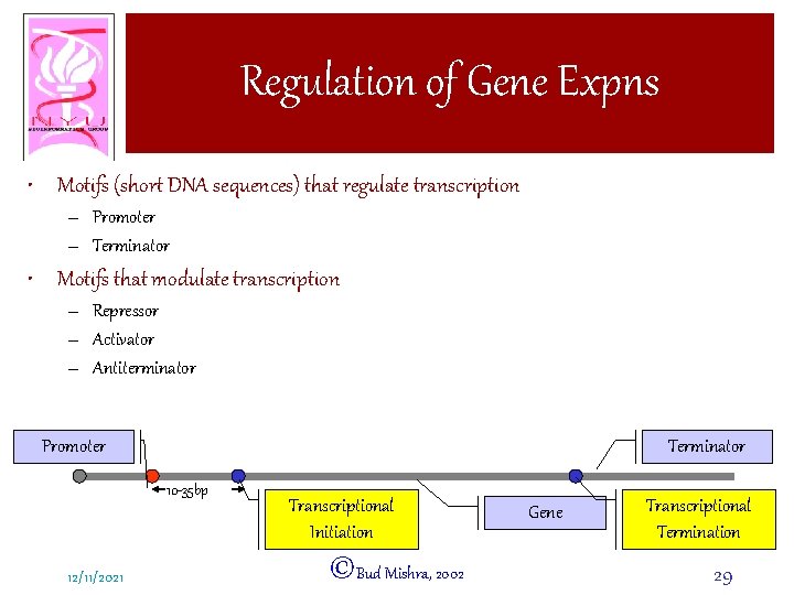Regulation of Gene Expns • Motifs (short DNA sequences) that regulate transcription – Promoter