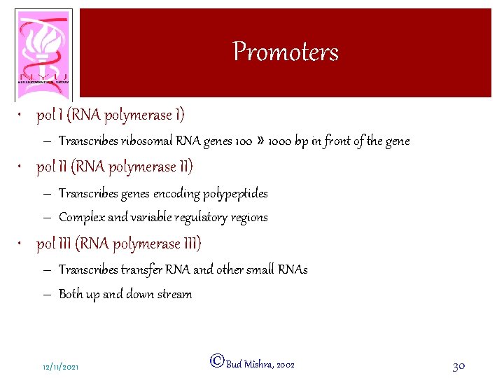 Promoters • pol I (RNA polymerase I) – Transcribes ribosomal RNA genes 100 »