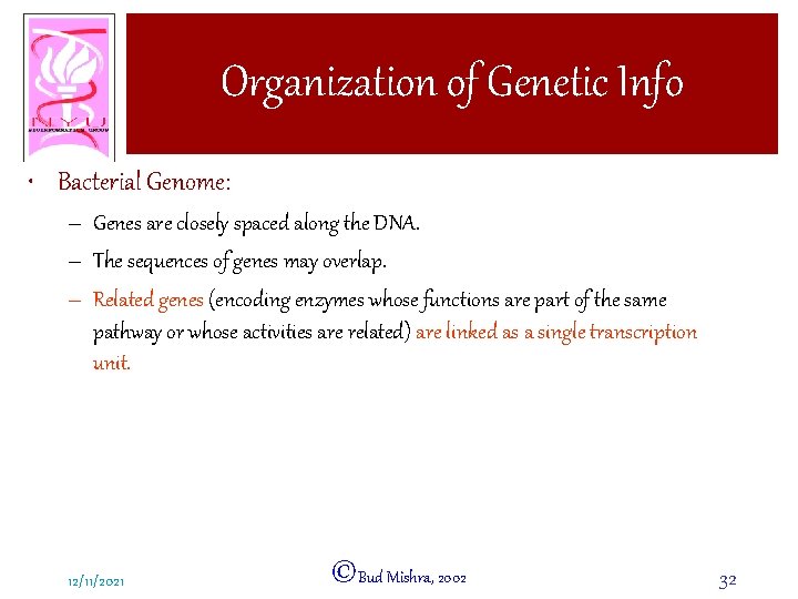 Organization of Genetic Info • Bacterial Genome: – Genes are closely spaced along the