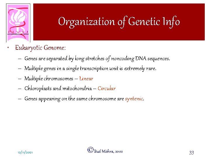 Organization of Genetic Info • Eukaryotic Genome: – – – Genes are separated by