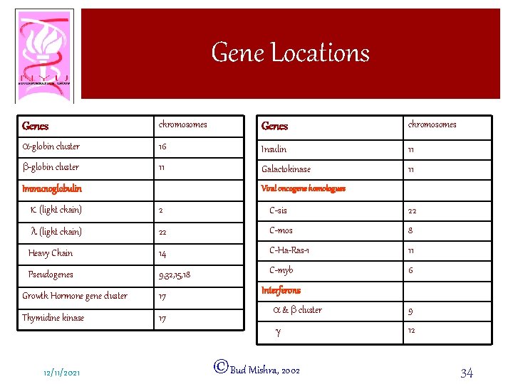 Gene Locations Genes chromosomes a-globin cluster 16 Insulin 11 b-globin cluster 11 Galactokinase 11