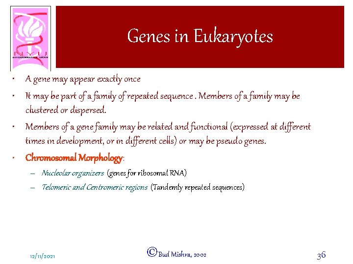 Genes in Eukaryotes • A gene may appear exactly once • It may be