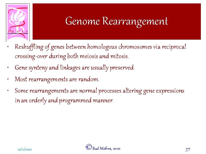 Genome Rearrangement • Reshuffling of genes between homologous chromosomes via reciprocal crossing-over during both