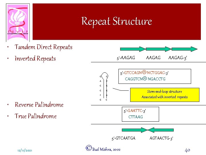 Repeat Structure • Tandem Direct Repeats • Inverted Repeats • Reverse Palindrome • True