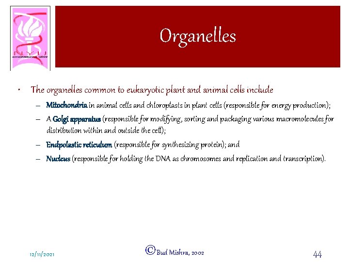 Organelles • The organelles common to eukaryotic plant and animal cells include – Mitochondria
