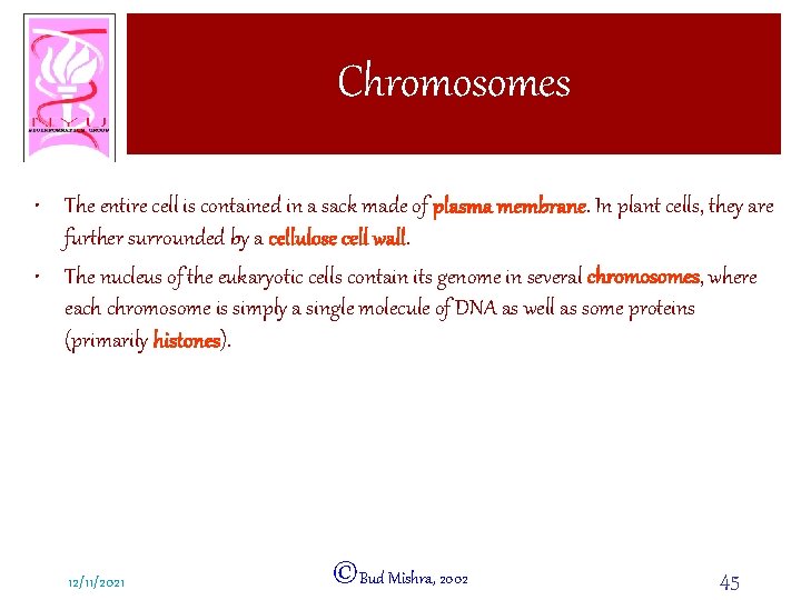 Chromosomes • The entire cell is contained in a sack made of plasma membrane.