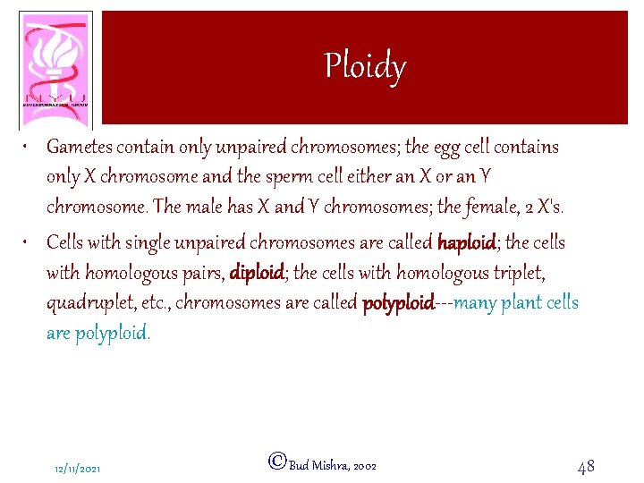 Ploidy • Gametes contain only unpaired chromosomes; the egg cell contains only X chromosome
