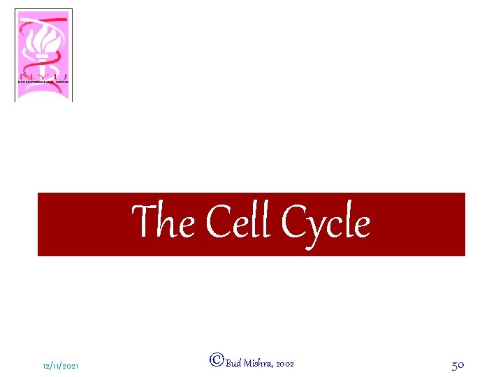 The Cell Cycle 12/11/2021 ©Bud Mishra, 2002 50 