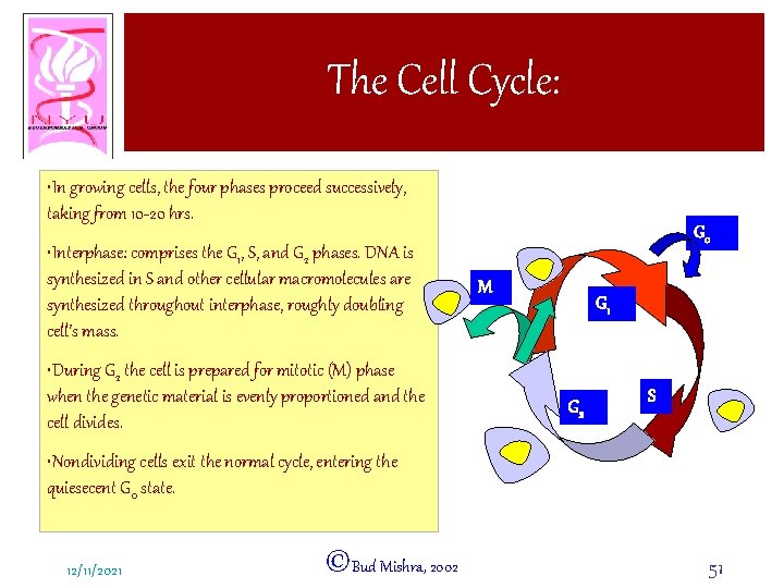 The Cell Cycle: • In growing cells, the four phases proceed successively, taking from