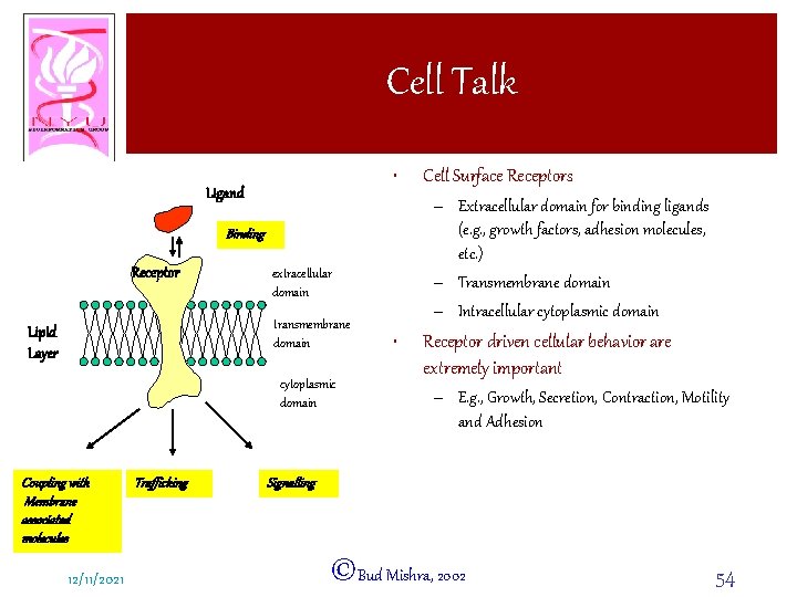 Cell Talk • Ligand – Extracellular domain for binding ligands (e. g. , growth