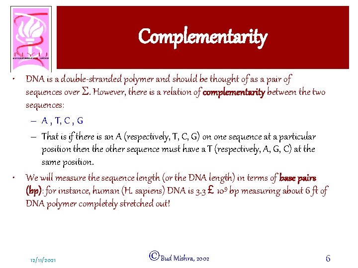 Complementarity • DNA is a double-stranded polymer and should be thought of as a