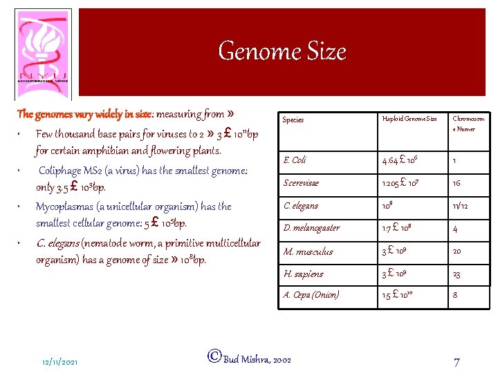 Genome Size The genomes vary widely in size: measuring from » • Few thousand