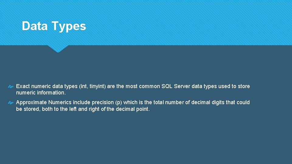 Data Types Exact numeric data types (int, tinyint) are the most common SQL Server Data Types Exact numeric data types (int, tinyint) are the most common SQL Server
