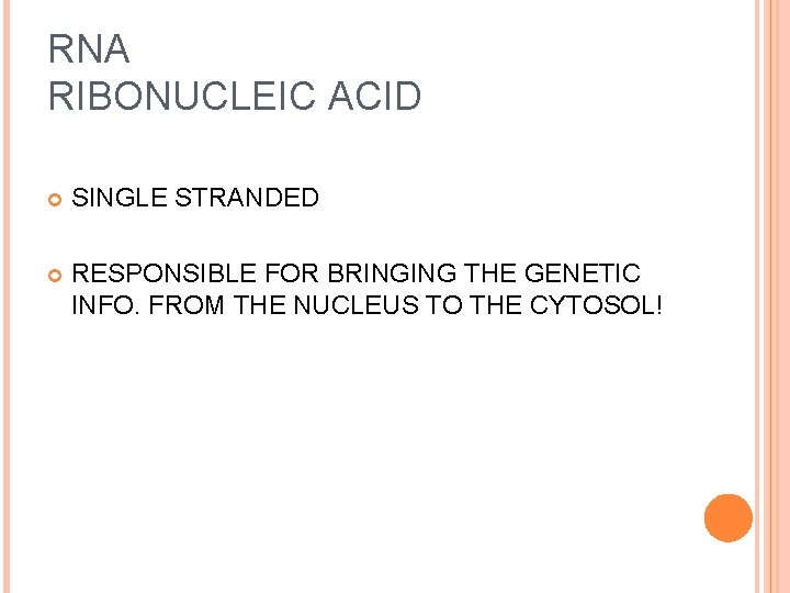 RNA RIBONUCLEIC ACID SINGLE STRANDED RESPONSIBLE FOR BRINGING THE GENETIC INFO. FROM THE NUCLEUS