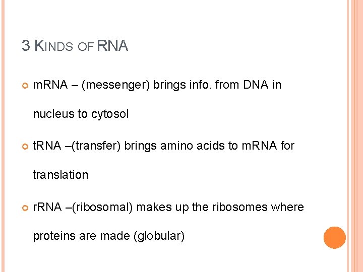 3 KINDS OF RNA m. RNA – (messenger) brings info. from DNA in nucleus
