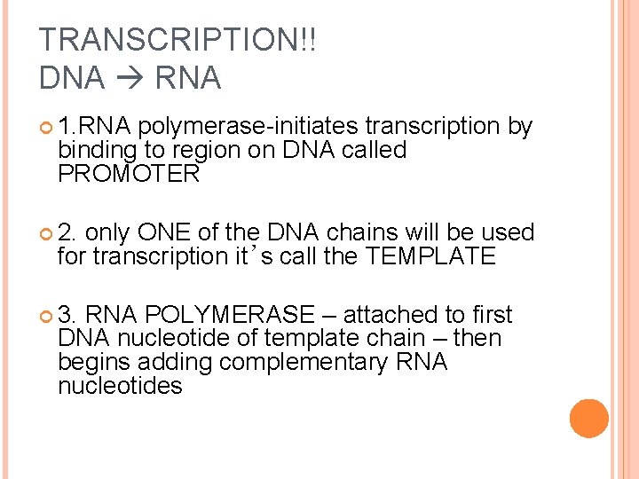 TRANSCRIPTION!! DNA RNA 1. RNA polymerase-initiates transcription by binding to region on DNA called
