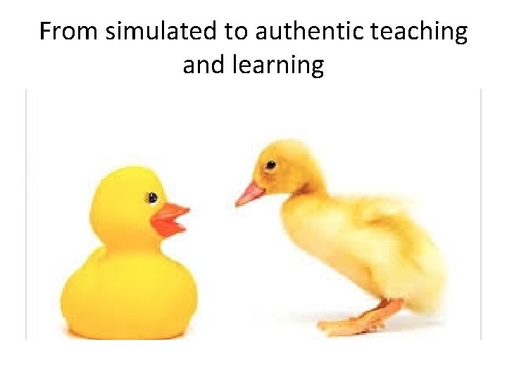 From simulated to authentic teaching and learning 