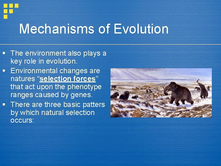 Mechanisms of Evolution § The environment also plays a key role in evolution. §