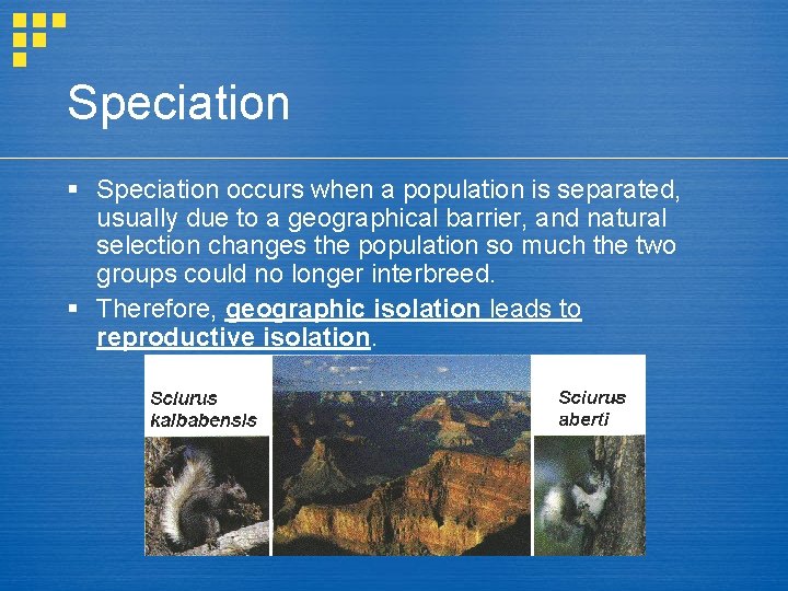 Speciation § Speciation occurs when a population is separated, usually due to a geographical