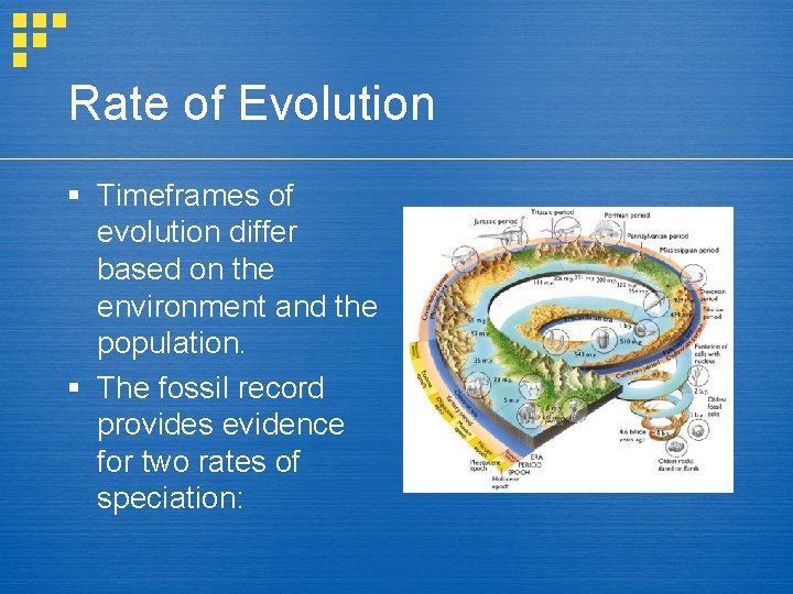 Rate of Evolution § Timeframes of evolution differ based on the environment and the