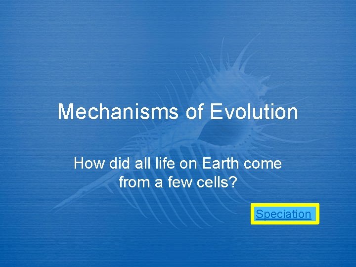 Mechanisms of Evolution How did all life on Earth come from a few cells?