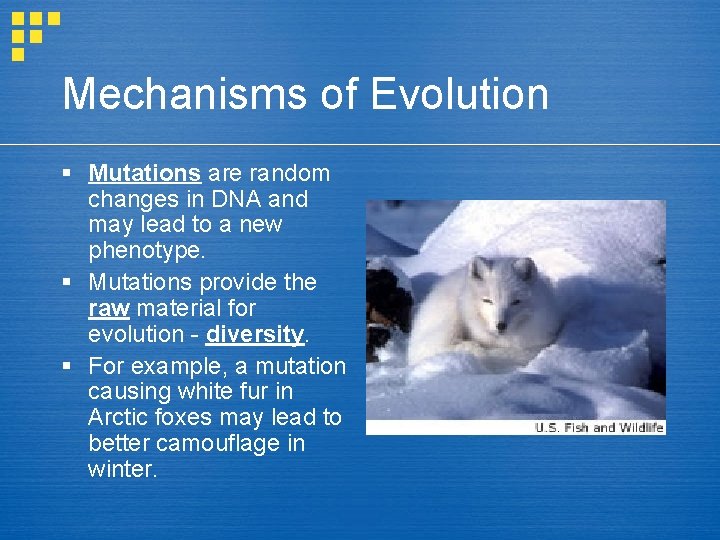 Mechanisms of Evolution § Mutations are random changes in DNA and may lead to