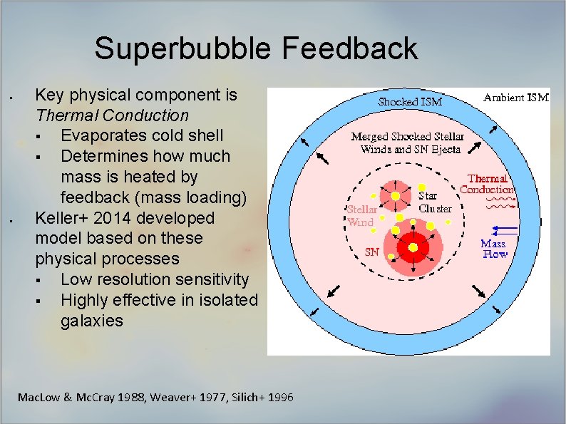 Superbubble Feedback § § Key physical component is Thermal Conduction § Evaporates cold shell