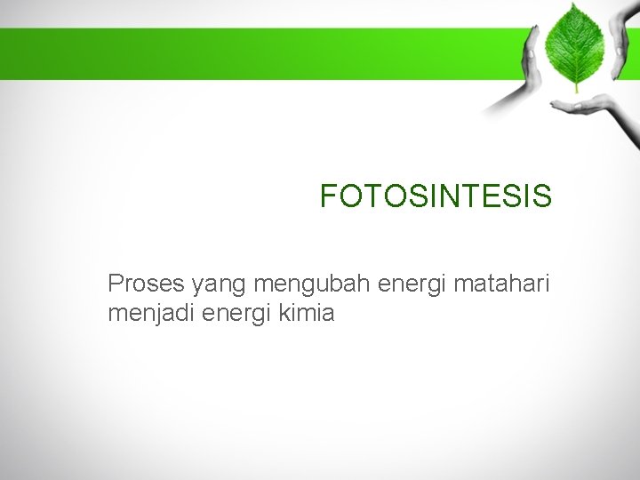 FOTOSINTESIS Proses yang mengubah energi matahari menjadi energi kimia 