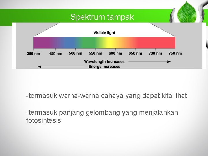 Spektrum tampak -termasuk warna-warna cahaya yang dapat kita lihat -termasuk panjang gelombang yang menjalankan