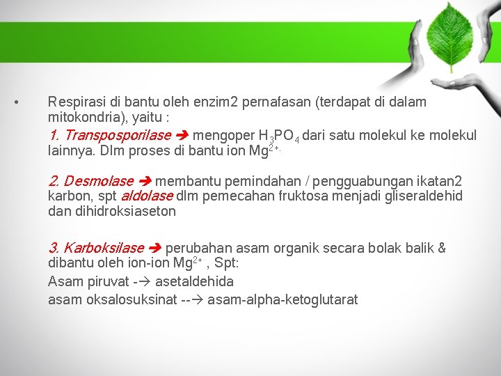  • Respirasi di bantu oleh enzim 2 pernafasan (terdapat di dalam mitokondria), yaitu