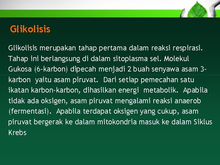 Glikolisis merupakan tahap pertama dalam reaksi respirasi. Tahap ini berlangsung di dalam sitoplasma sel.