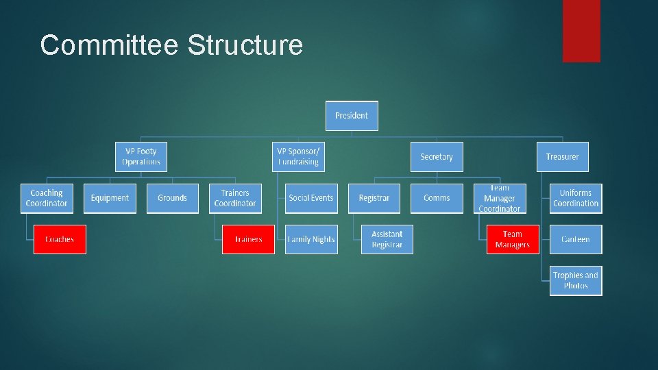 Committee Structure 