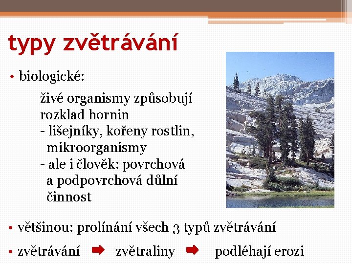 typy zvětrávání • biologické: živé organismy způsobují rozklad hornin - lišejníky, kořeny rostlin, mikroorganismy