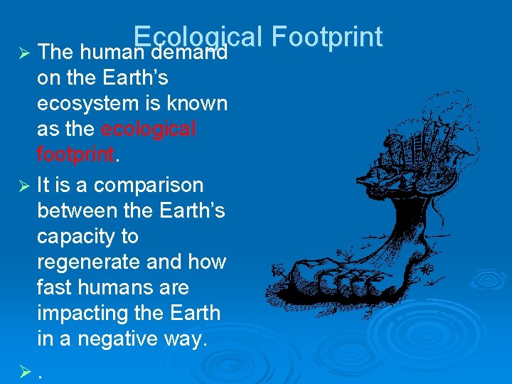 Ecological Footprint Ø The human demand on the Earth’s ecosystem is known as the