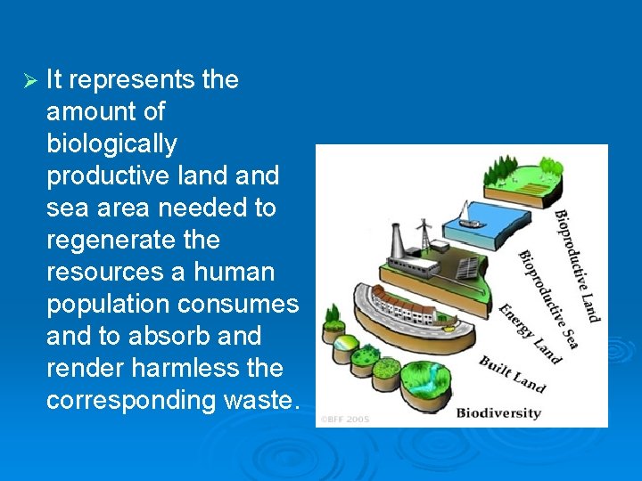 Ø It represents the amount of biologically productive land sea area needed to regenerate