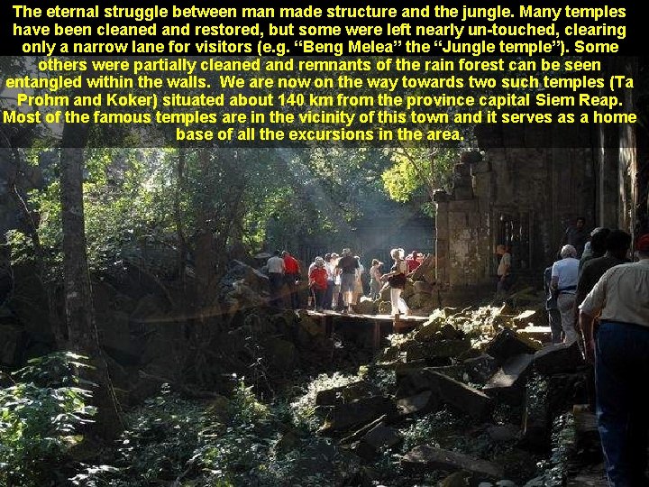The eternal struggle between made structure and the jungle. Many temples have been cleaned