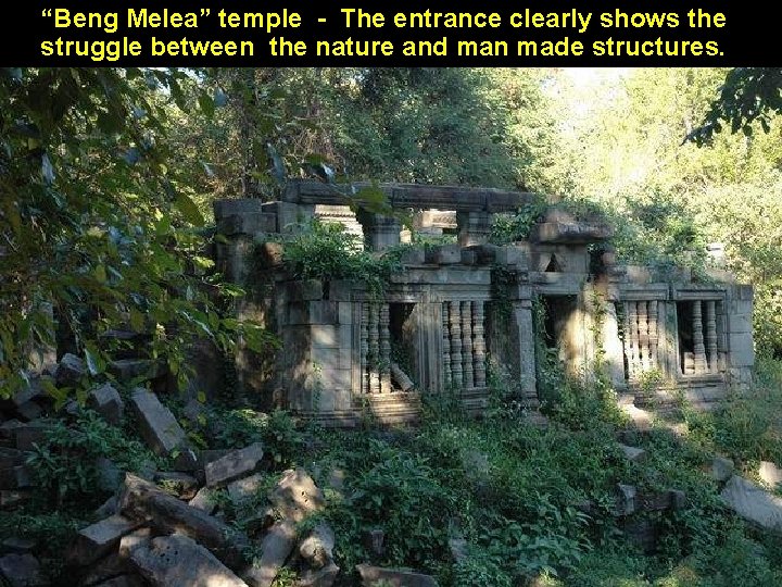“Beng Melea” temple - The entrance clearly shows the struggle between the nature and