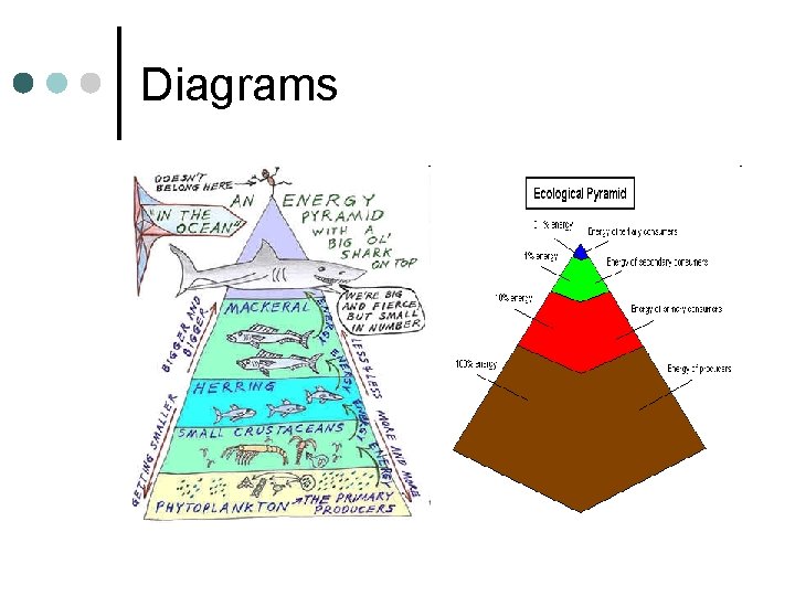 Diagrams 