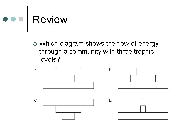 Review ¢ Which diagram shows the flow of energy through a community with three