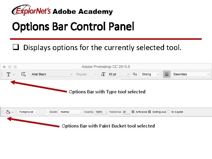 Options Bar Control Panel q Displays options for the currently selected tool. Options Bar