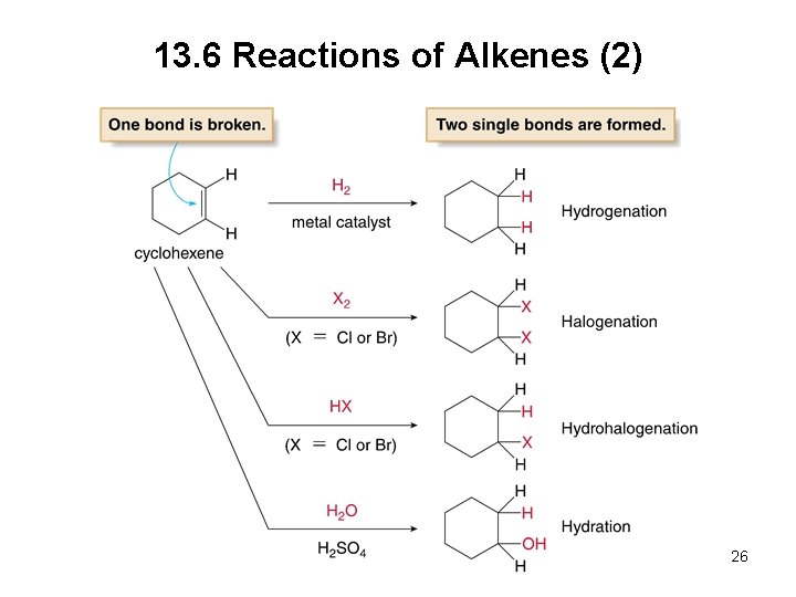 13. 6 Reactions of Alkenes (2) 26 