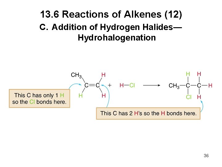 13. 6 Reactions of Alkenes (12) C. Addition of Hydrogen Halides— Hydrohalogenation 36 