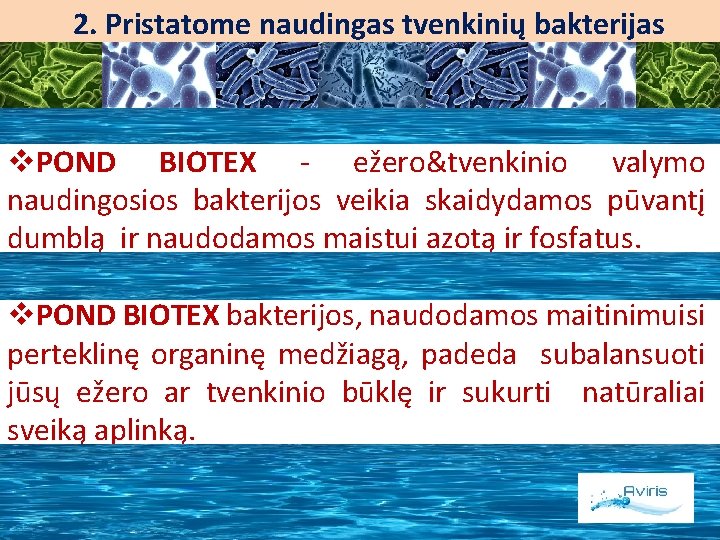 2. Pristatome naudingas tvenkinių bakterijas MICROBES IN POND v. POND BIOTEX - ežero&tvenkinio valymo