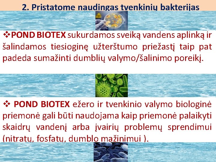 2. Pristatome naudingas tvenkinių bakterijas MICROBES IN POND v. POND BIOTEX sukurdamos sveiką vandens