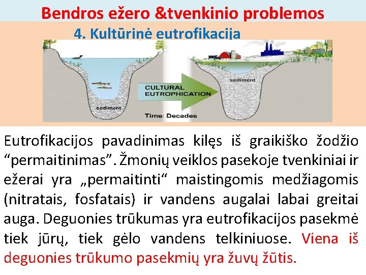 Bendros ežero &tvenkinio problemos 4. Kultūrinė eutrofikacija Eutrofikacijos pavadinimas kilęs iš graikiško žodžio “permaitinimas”.