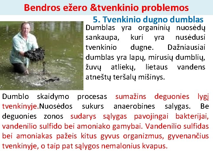 Bendros ežero &tvenkinio problemos 5. Tvenkinio dugno dumblas Dumblas yra organinių nuosėdų sankaupa, kuri
